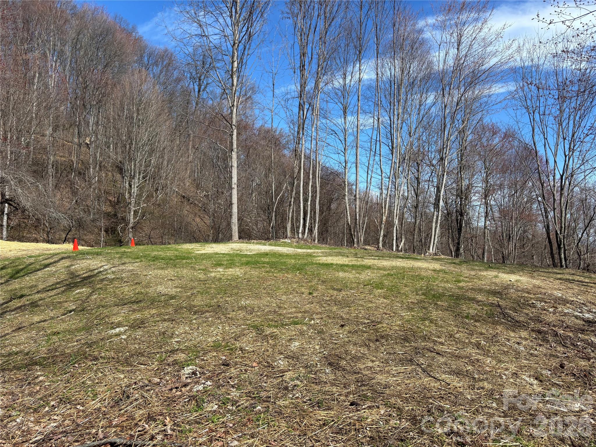 North Lot) Meadow Fork Road Hot Springs, NC 28743 - Photo 7 of 33