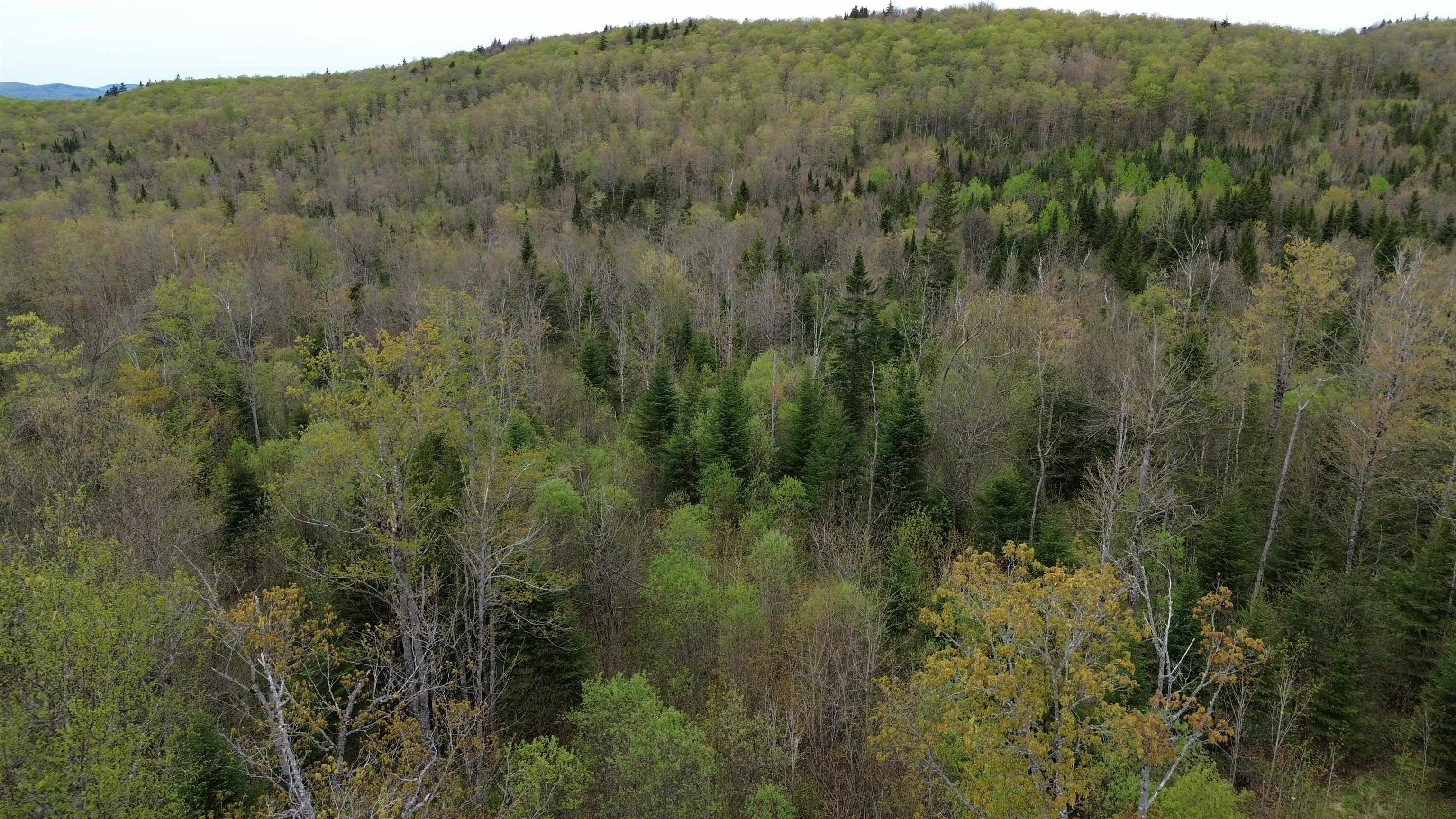 Mapb2-lot16 Dead Water Road Stewartstown, NH 03576 - Photo 27 of 31