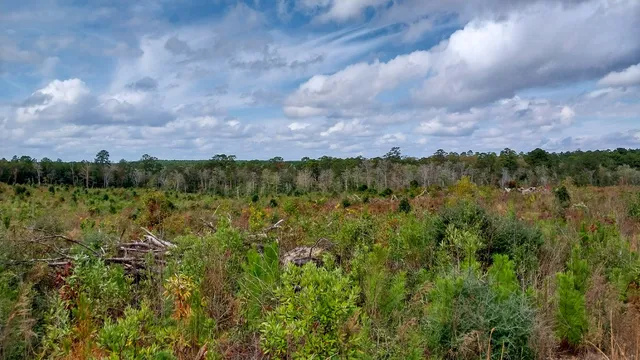 $408,952 | 0 Pr 6150 Woodville Tx 75979, Woodville, TX 75979