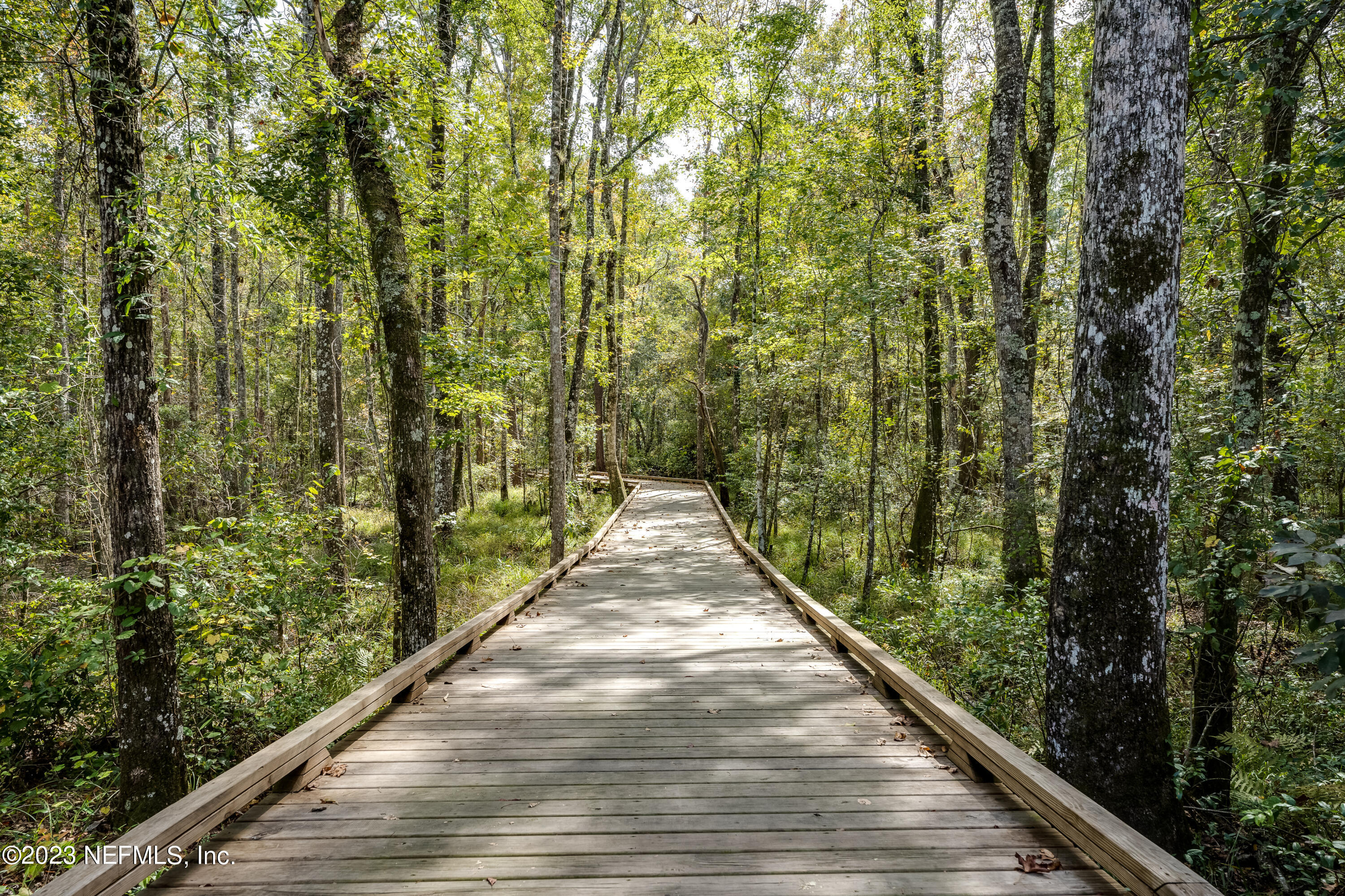 257 Glenneyre Circle St. Augustine, FL 32092 - Photo 88 of 98 20231023 257 Glenneyre Cir081LARGE