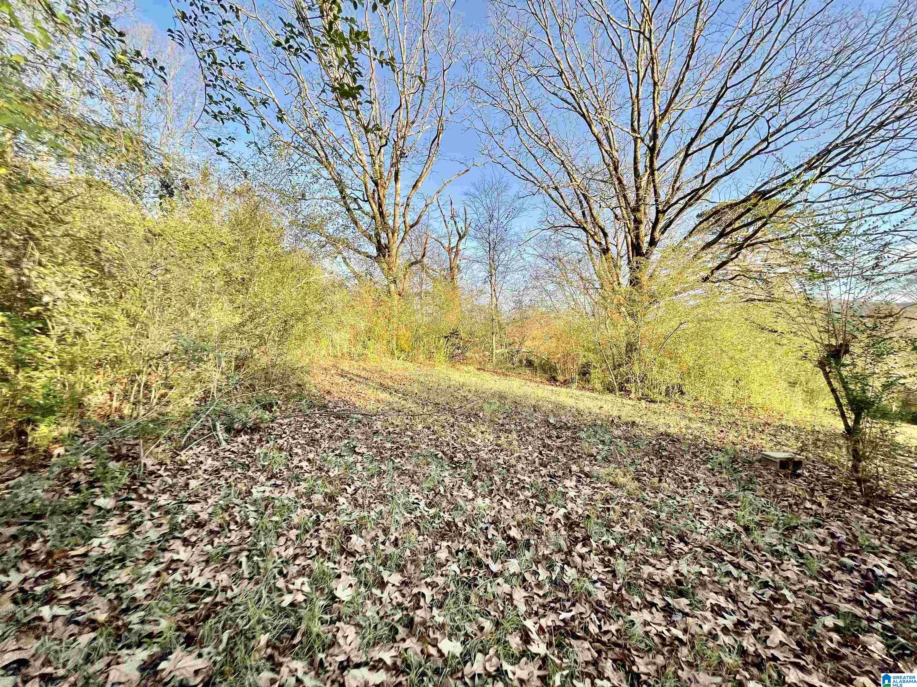 263 Westover Road Anniston, AL 36201 - Photo 26 of 61