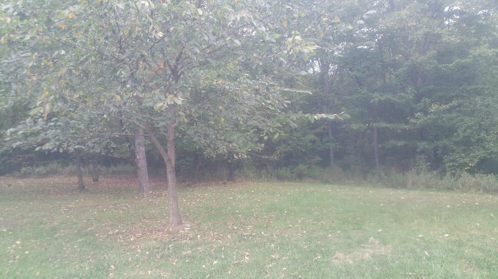 1177 Valley Road Anson, ME 04911 - Photo 6 of 31 Photo