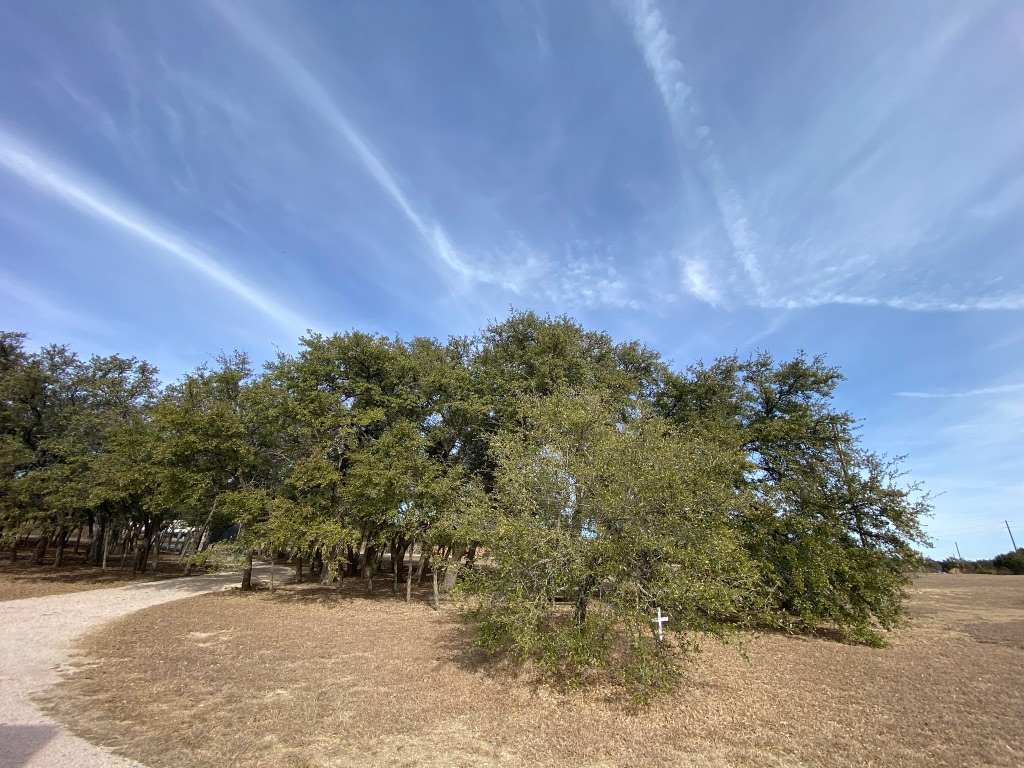 1320 County Road 304 Bertram, TX 78605 - Photo 16 of 38 a view of outdoor space and yard