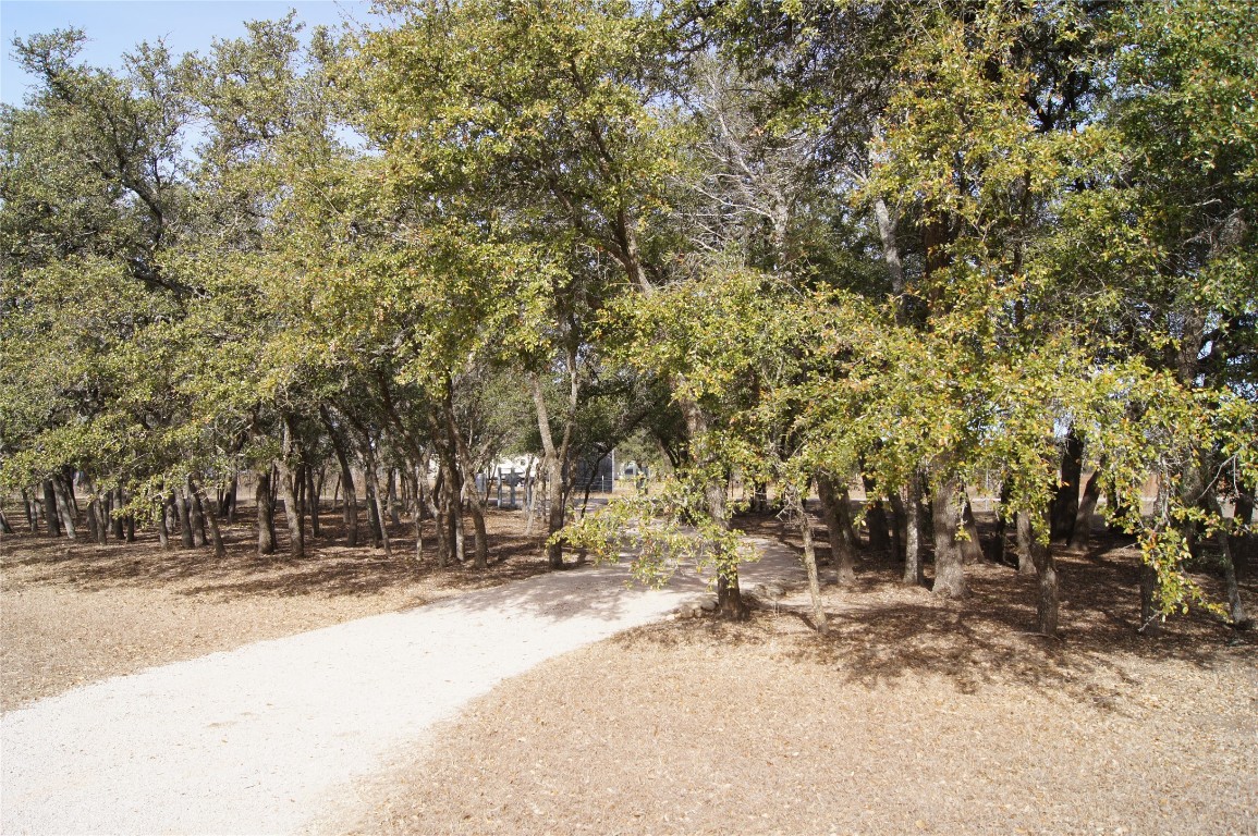 1320 County Road 304 Bertram, TX 78605 - Photo 34 of 38 a view of road with trees