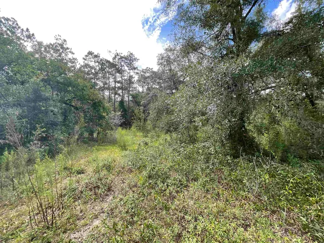 $13,000 | Lot 57-vacant Northeast Lot 57-vacant Ne Blackjack Loop, Unit 1, Lee, FL 32059