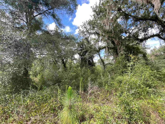 $13,000 | Lot 57-vacant Northeast Lot 57-vacant Ne Blackjack Loop, Unit 1, Lee, FL 32059