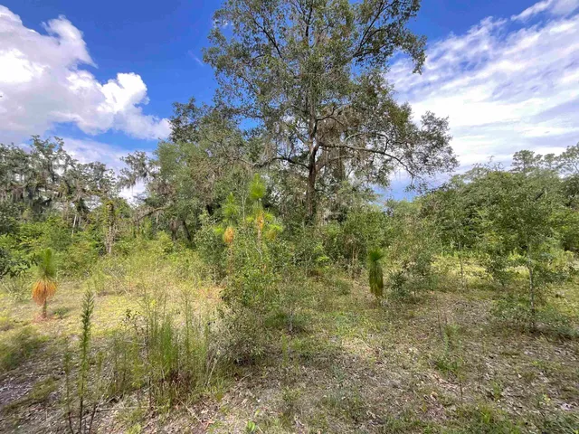 $13,000 | Lot 57-vacant Northeast Lot 57-vacant Ne Blackjack Loop, Unit 1, Lee, FL 32059