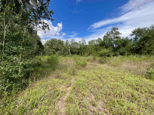 $13,000 | Lot 57-vacant Northeast Lot 57-vacant Ne Blackjack Loop, Unit 1, Lee, FL 32059