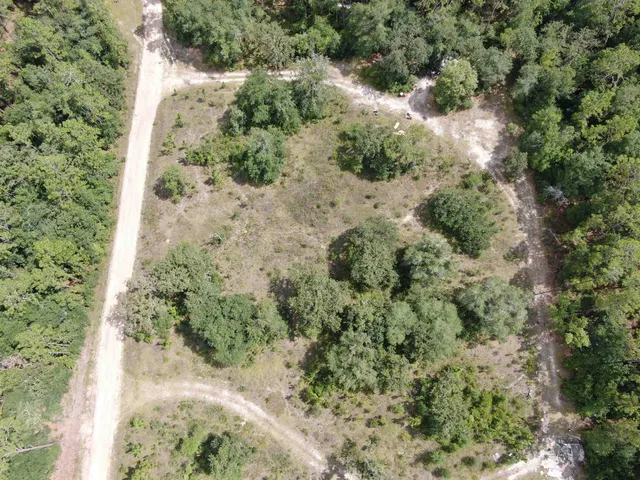 $13,000 | Lot 57-vacant Northeast Lot 57-vacant Ne Blackjack Loop, Unit 1, Lee, FL 32059