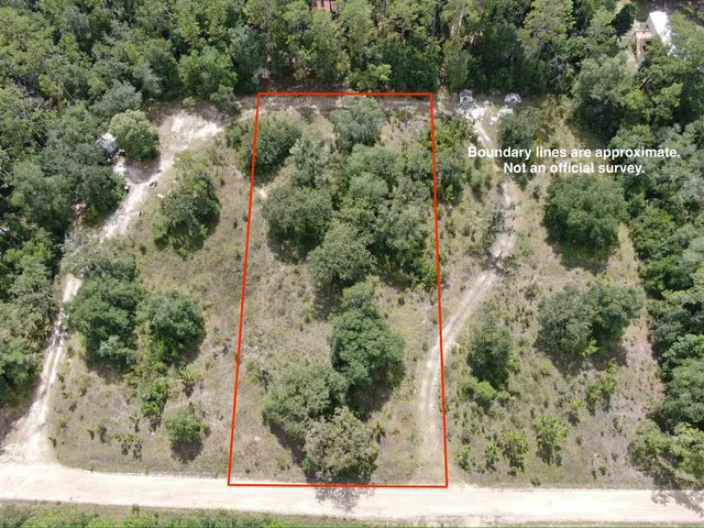 $13,000 | Lot 57-vacant Northeast Lot 57-vacant Ne Blackjack Loop, Unit 1, Lee, FL 32059