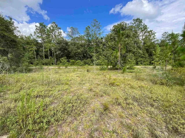 $13,000 | Lot 57-vacant Northeast Lot 57-vacant Ne Blackjack Loop, Unit 1, Lee, FL 32059