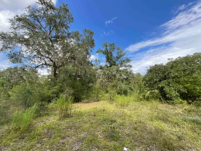 $13,000 | Lot 57-vacant Northeast Lot 57-vacant Ne Blackjack Loop, Unit 1, Lee, FL 32059