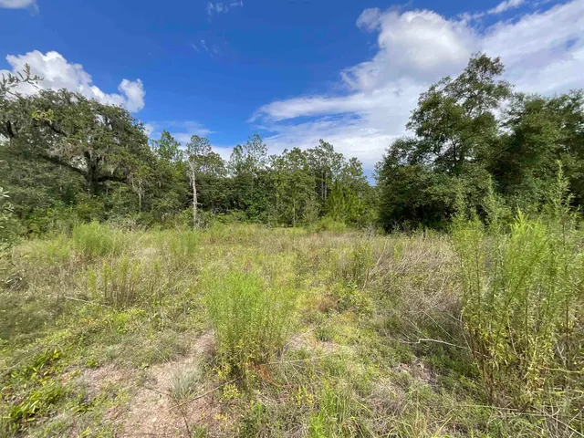 $13,000 | Lot 57-vacant Northeast Lot 57-vacant Ne Blackjack Loop, Unit 1, Lee, FL 32059