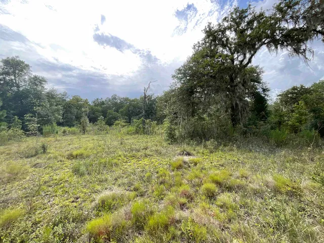 $13,000 | Lot 57-vacant Northeast Lot 57-vacant Ne Blackjack Loop, Unit 1, Lee, FL 32059
