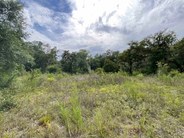 $13,000 | Lot 57-vacant Northeast Lot 57-vacant Ne Blackjack Loop, Unit 1, Lee, FL 32059
