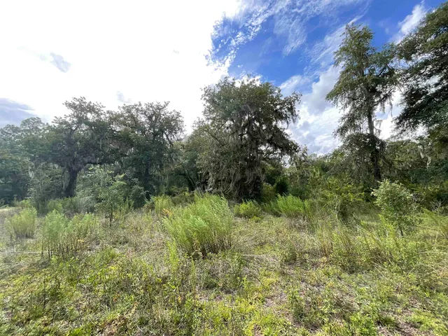 $13,000 | Lot 57-vacant Northeast Lot 57-vacant Ne Blackjack Loop, Unit 1, Lee, FL 32059