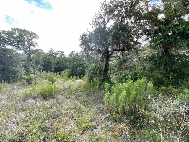 $13,000 | Lot 57-vacant Northeast Lot 57-vacant Ne Blackjack Loop, Unit 1, Lee, FL 32059