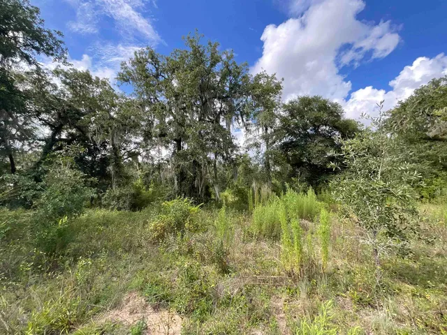 $13,000 | Lot 57-vacant Northeast Lot 57-vacant Ne Blackjack Loop, Unit 1, Lee, FL 32059