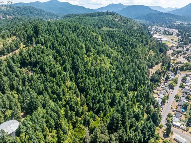 a view of a lush green hillside and a building