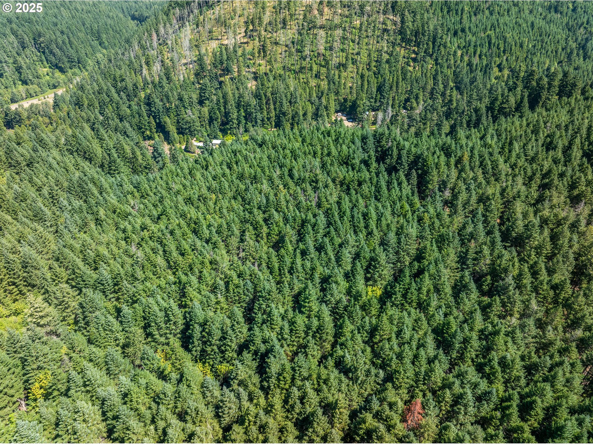 0 West 2nd Street Oakridge, OR 97463 - Photo 15 of 25 a view of a lush green forest