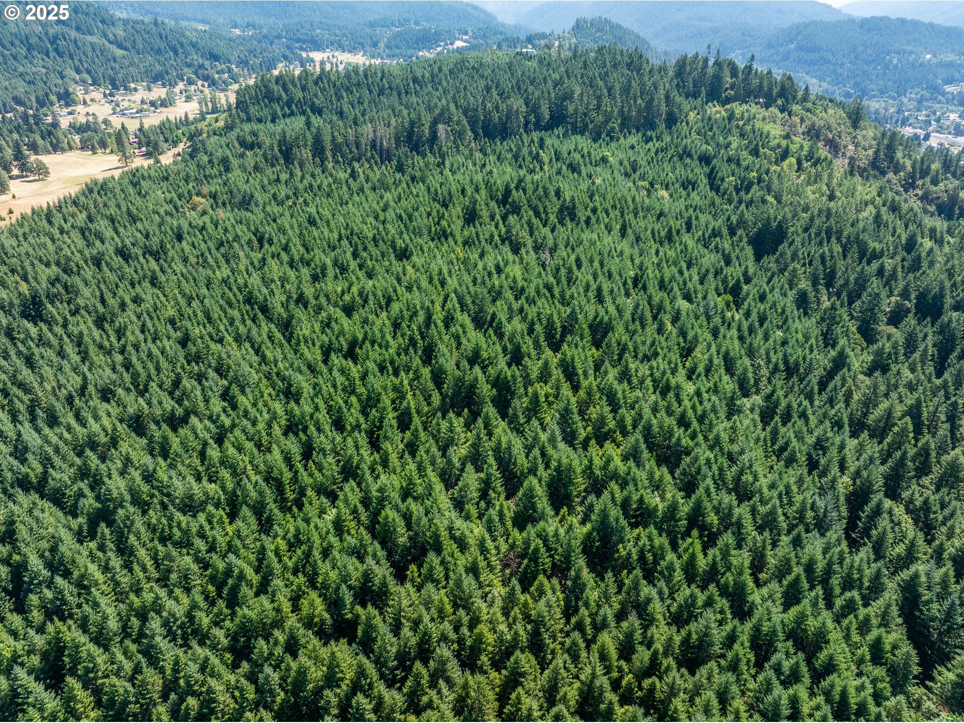 0 West 2nd Street Oakridge, OR 97463 - Photo 16 of 25 a view of a lush green forest with a lake and trees