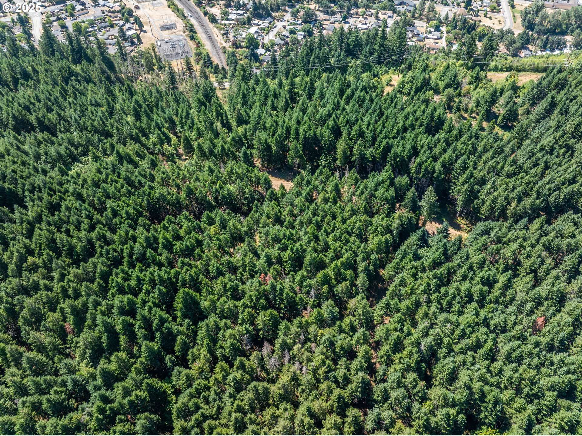 0 West 2nd Street Oakridge, OR 97463 - Photo 18 of 25 a view of a lush green forest