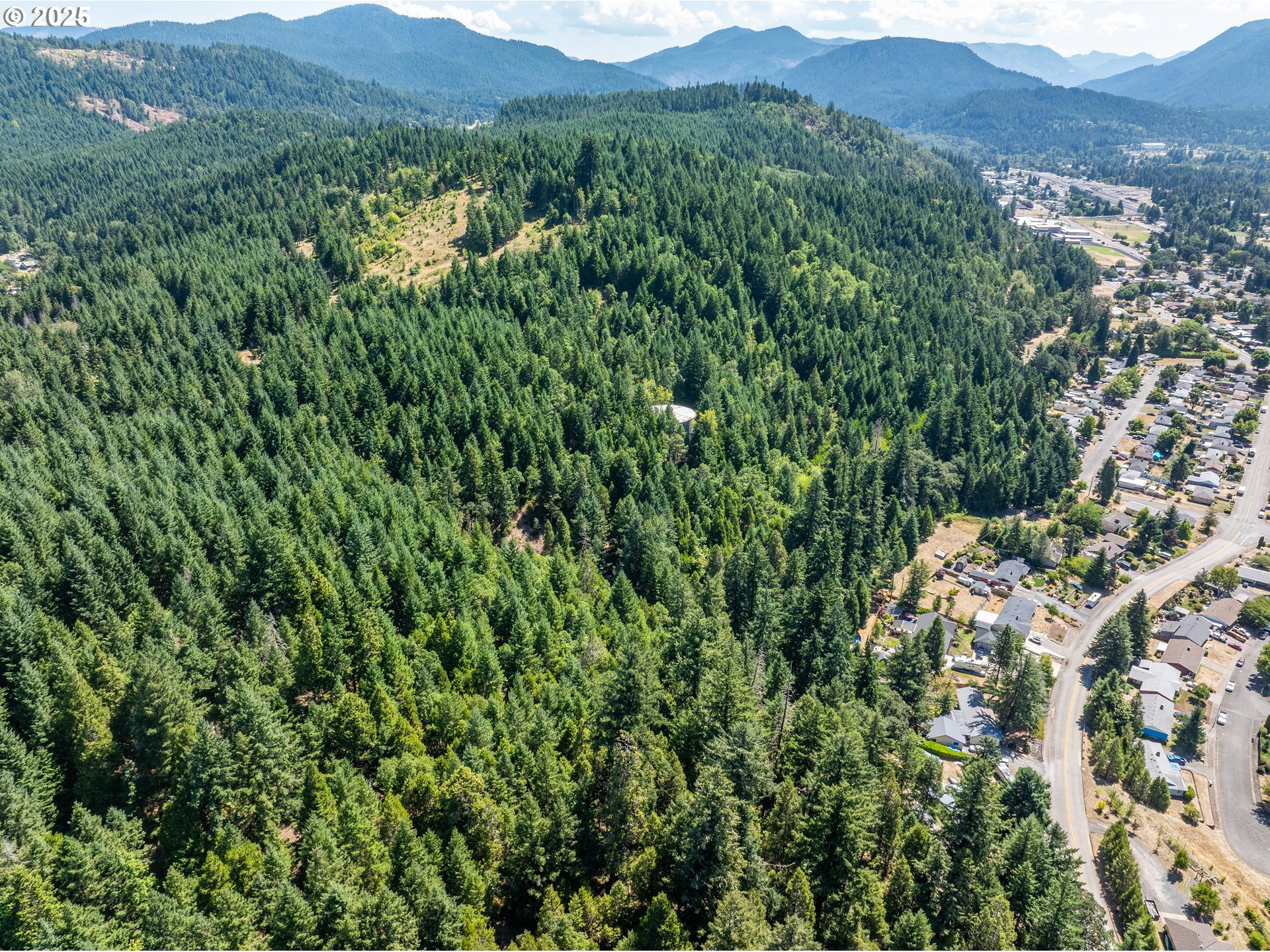 0 West 2nd Street Oakridge, OR 97463 - Photo 20 of 25 a view of a lush green hillside and a building