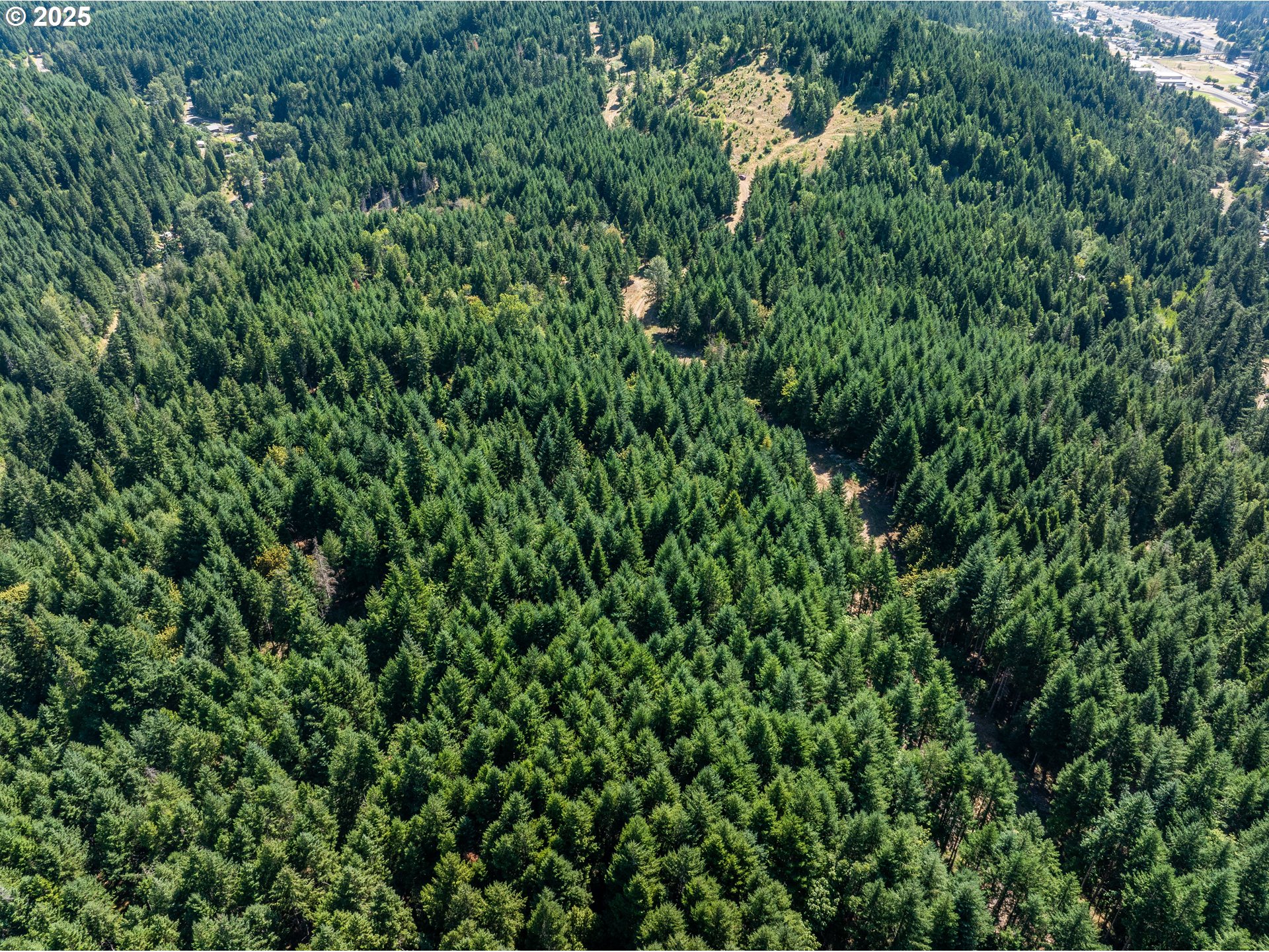 0 West 2nd Street Oakridge, OR 97463 - Photo 21 of 25 a view of a lush green forest