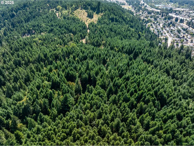 an aerial view of residential house with outdoor space and trees all around