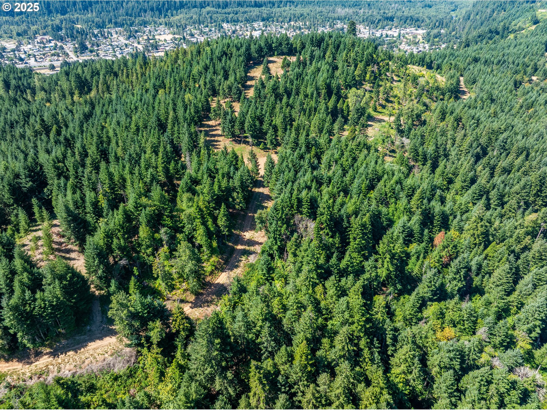 0 West 2nd Street Oakridge, OR 97463 - Photo 24 of 25 a view of a green yard