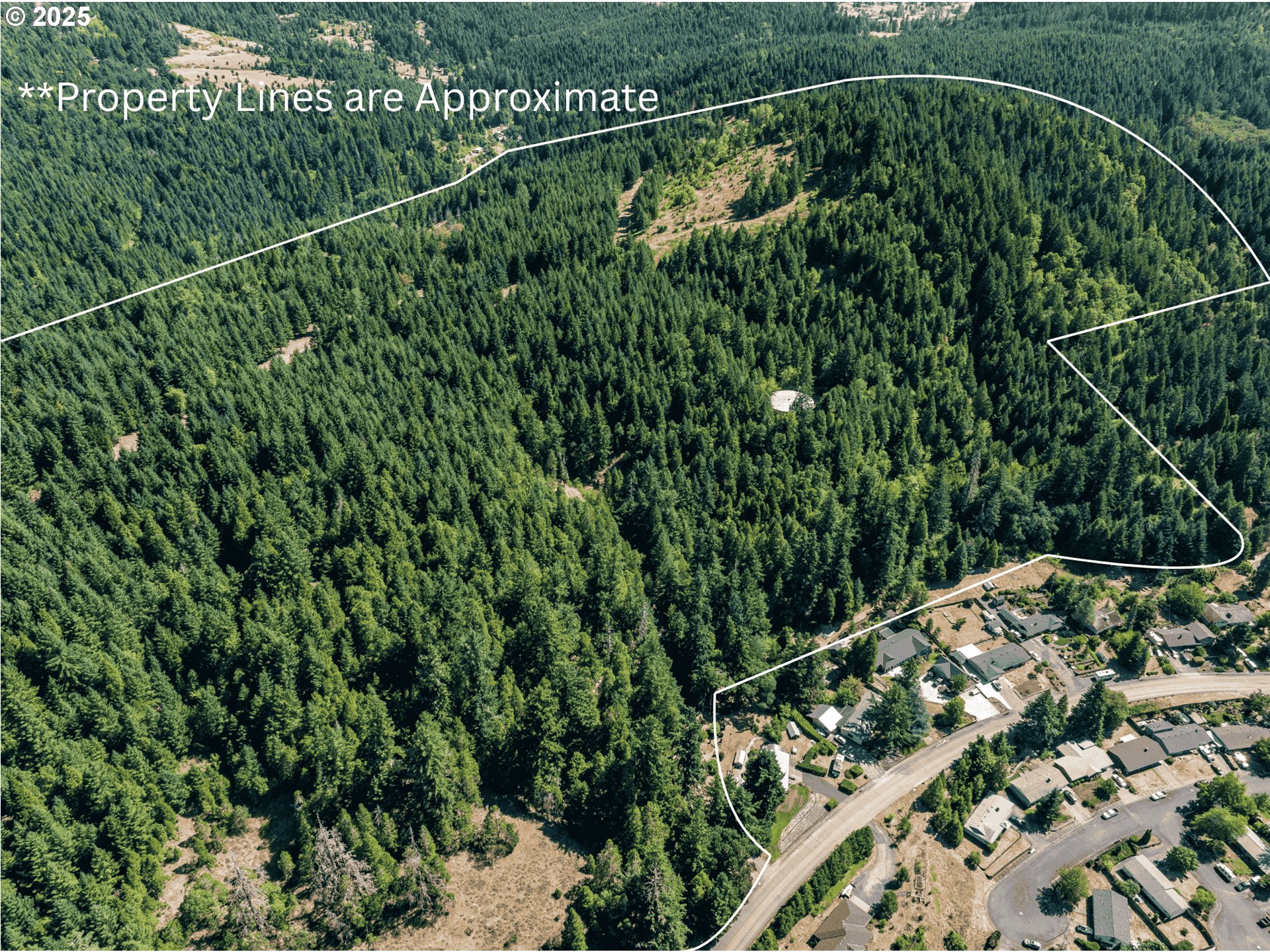 0 West 2nd Street Oakridge, OR 97463 - Photo 25 of 25 a view of a lush green field with a tree