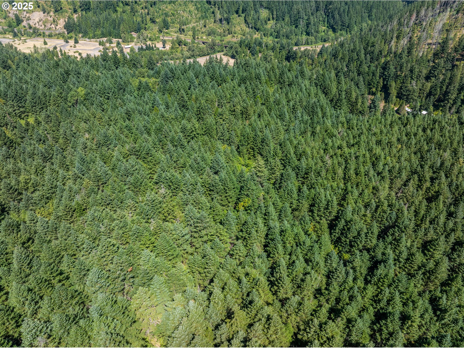 0 West 2nd Street Oakridge, OR 97463 - Photo 4 of 25 a view of a lush green forest