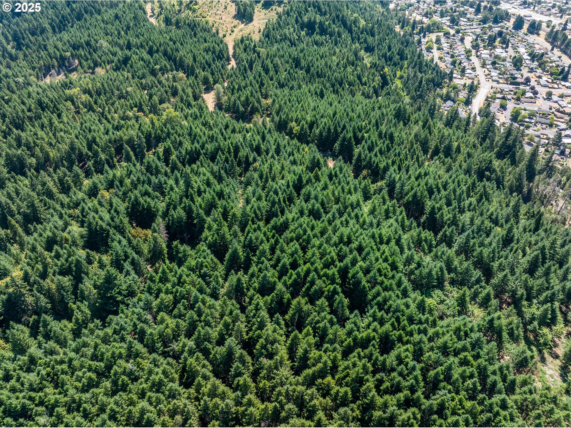 0 West 2nd Street Oakridge, OR 97463 - Photo 5 of 25 a view of a lush green forest