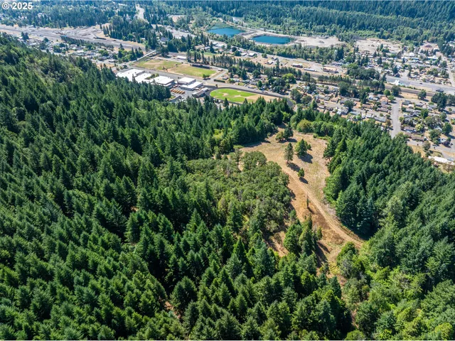 an aerial view of residential houses with outdoor space and trees