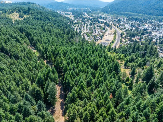 an aerial view of a house with a yard and lake view