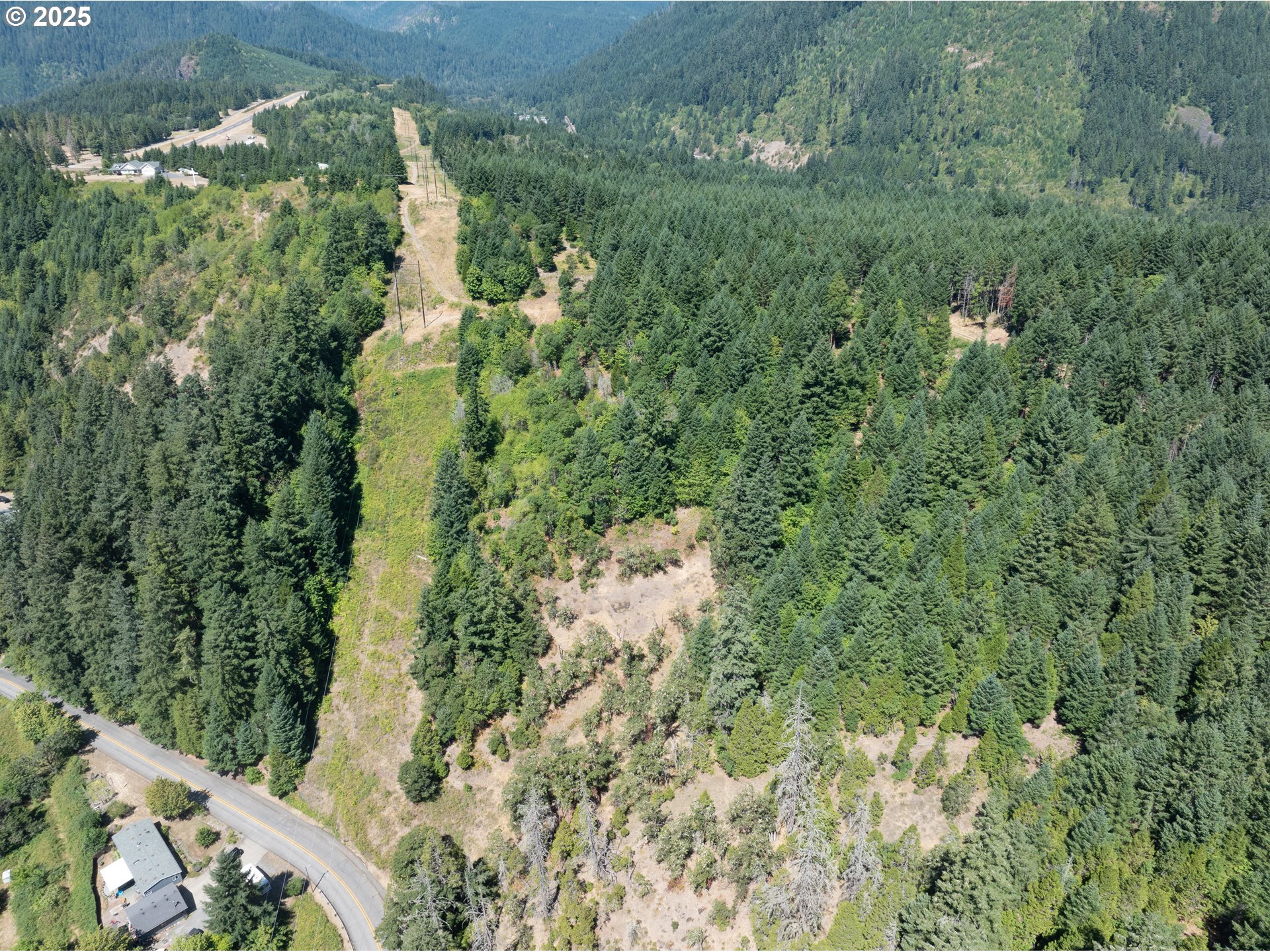 0 West 2nd Street Oakridge, OR 97463 - Photo 9 of 25 view of a forest with a houses