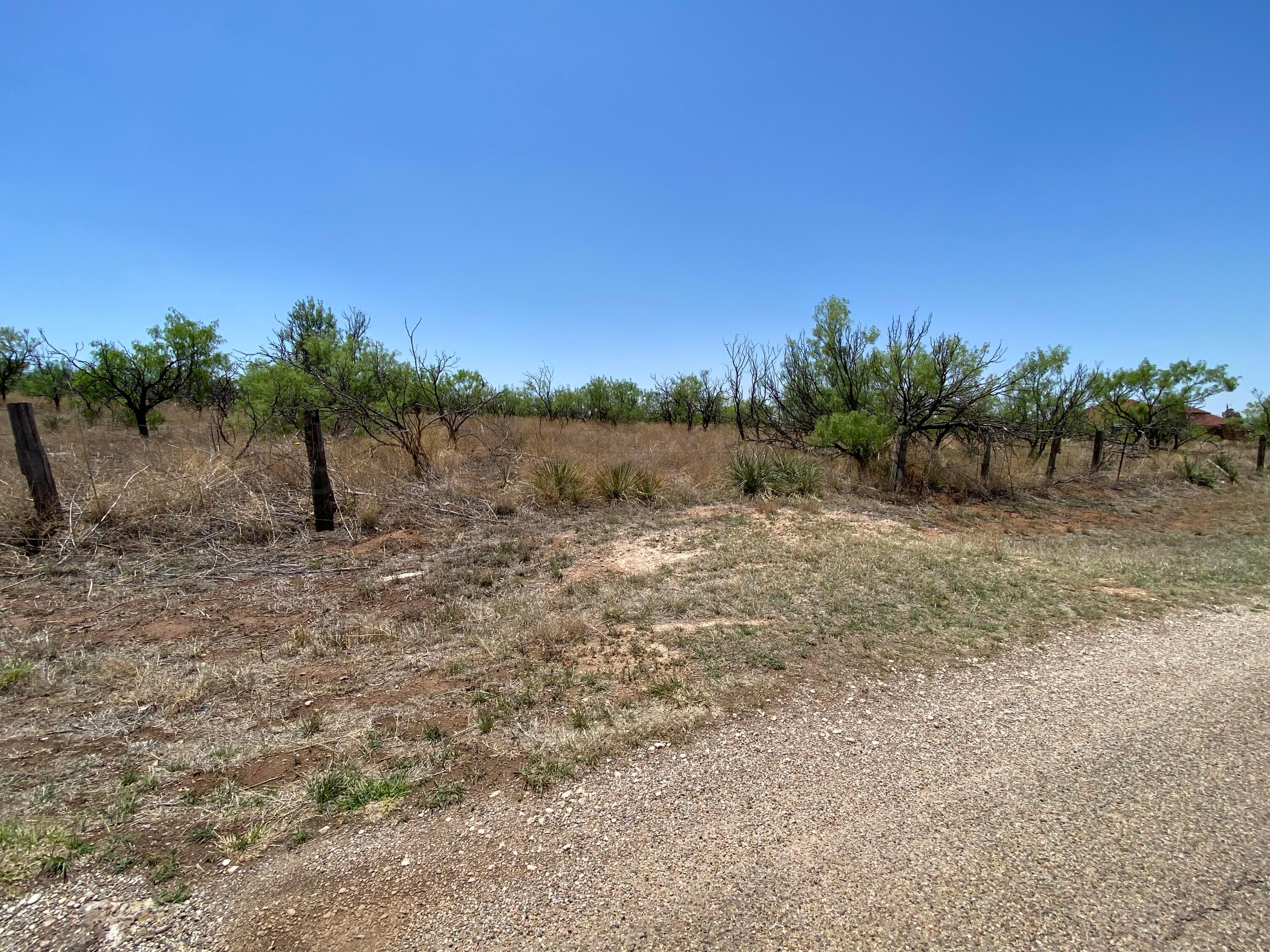 a view of a lake with a yard