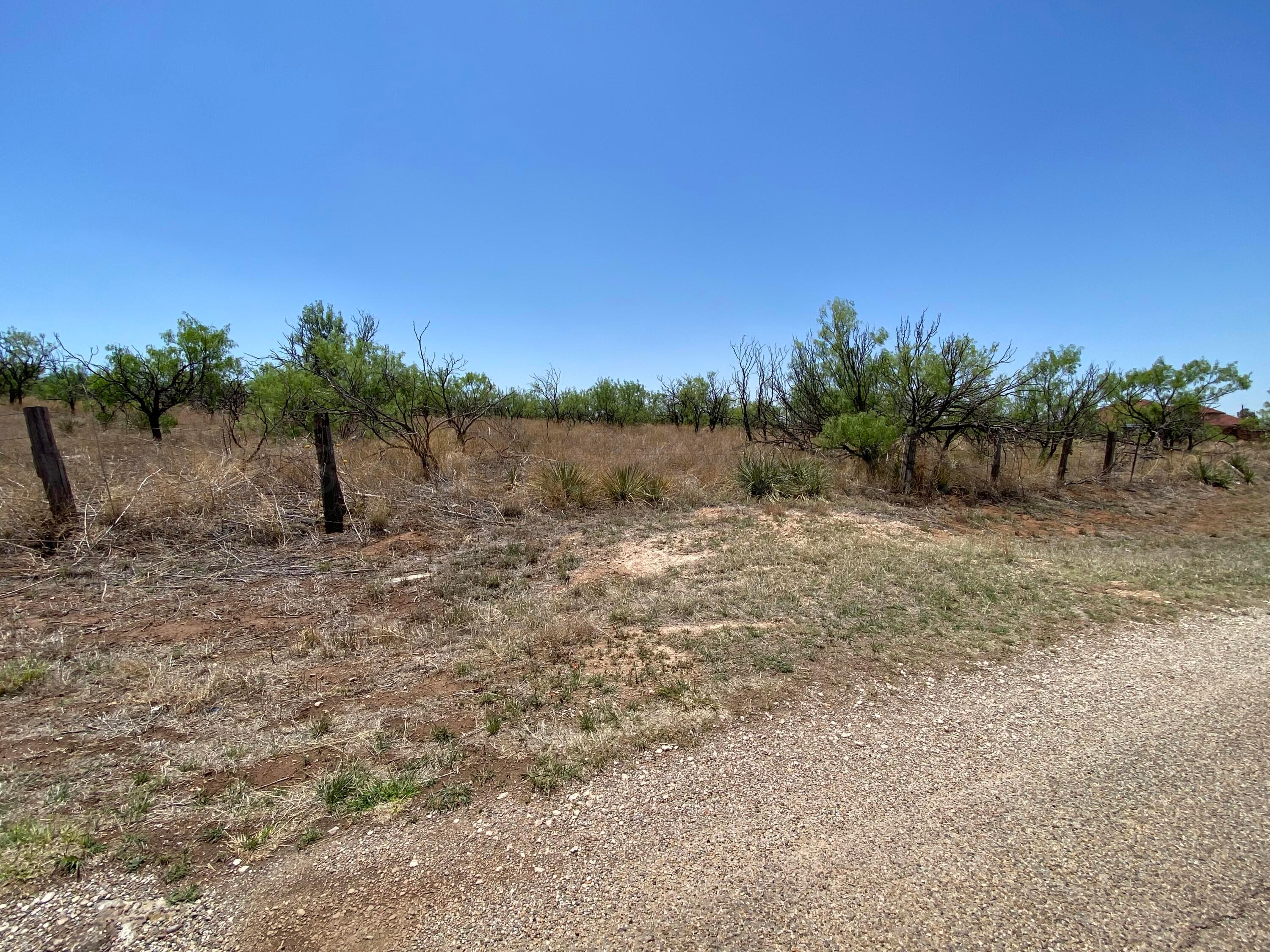 0 Diaz Ranch Road Amarillo, TX 79108 - Photo 2 of 3 a view of a yard with a tree