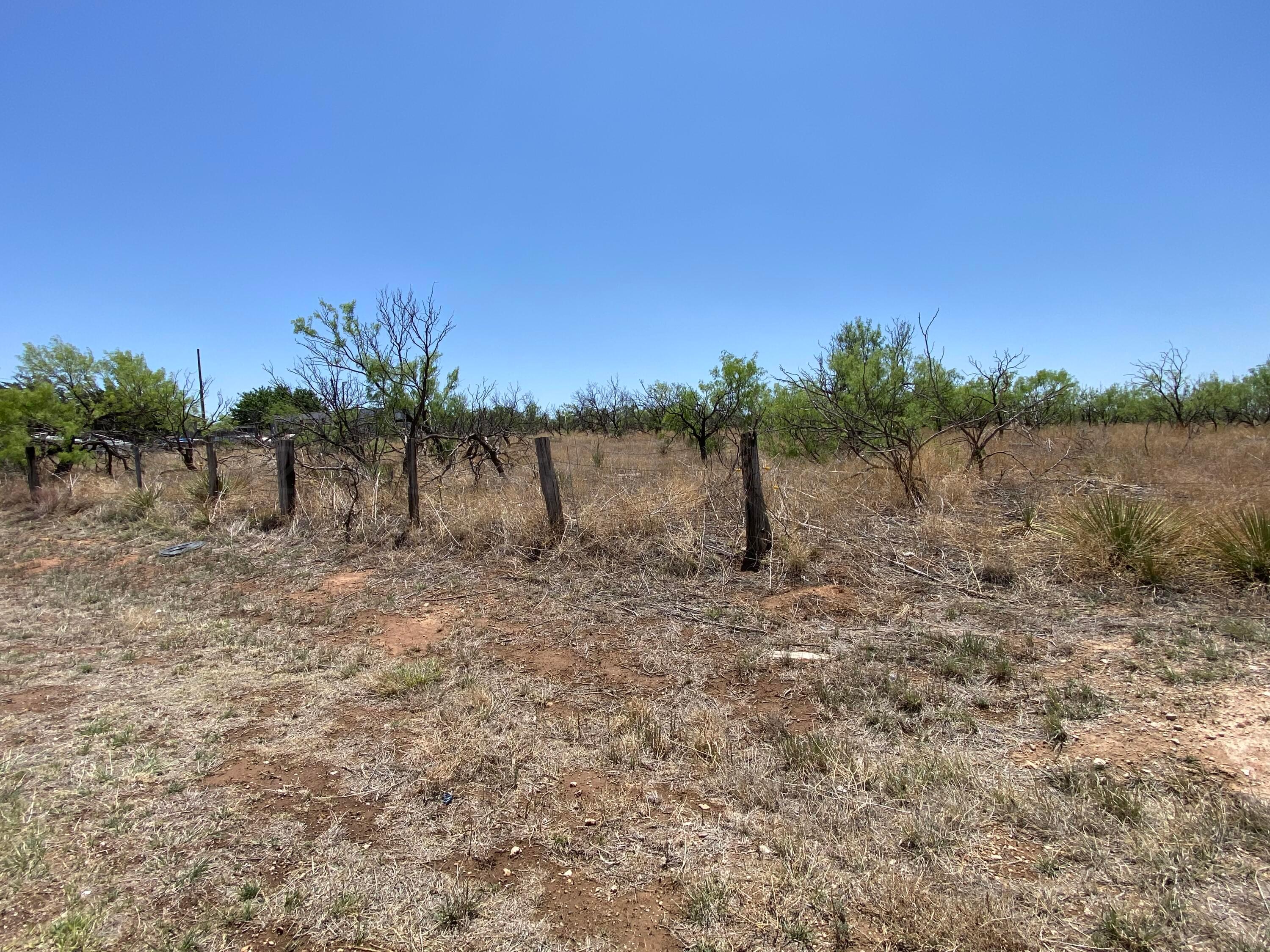 0 Diaz Ranch Road Amarillo, TX 79108 - Photo 3 of 3 a view of a yard with palm tree