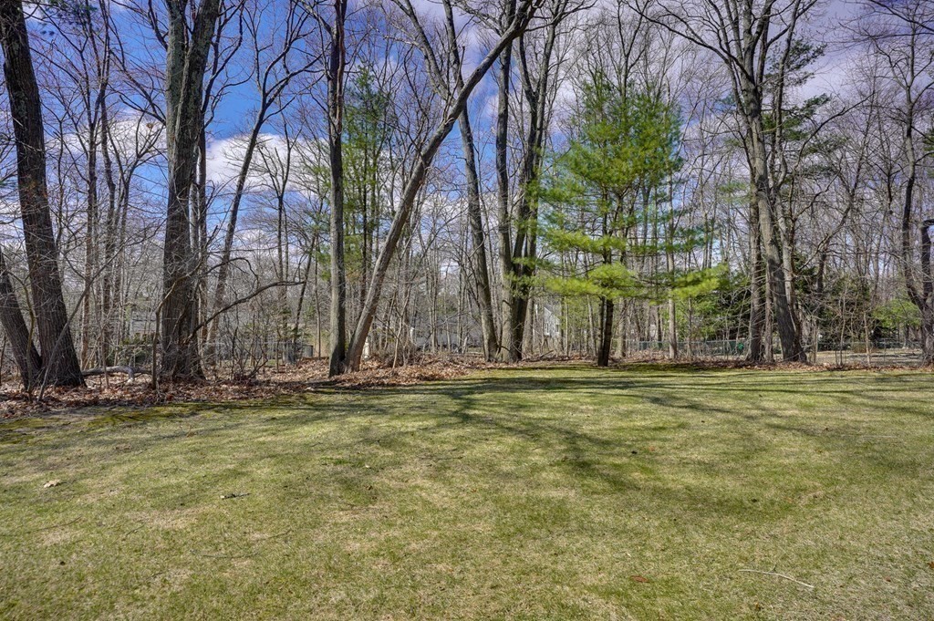 6 Princeton Road Burlington, MA 01803 - Photo 30 of 39 Gallery Image 30