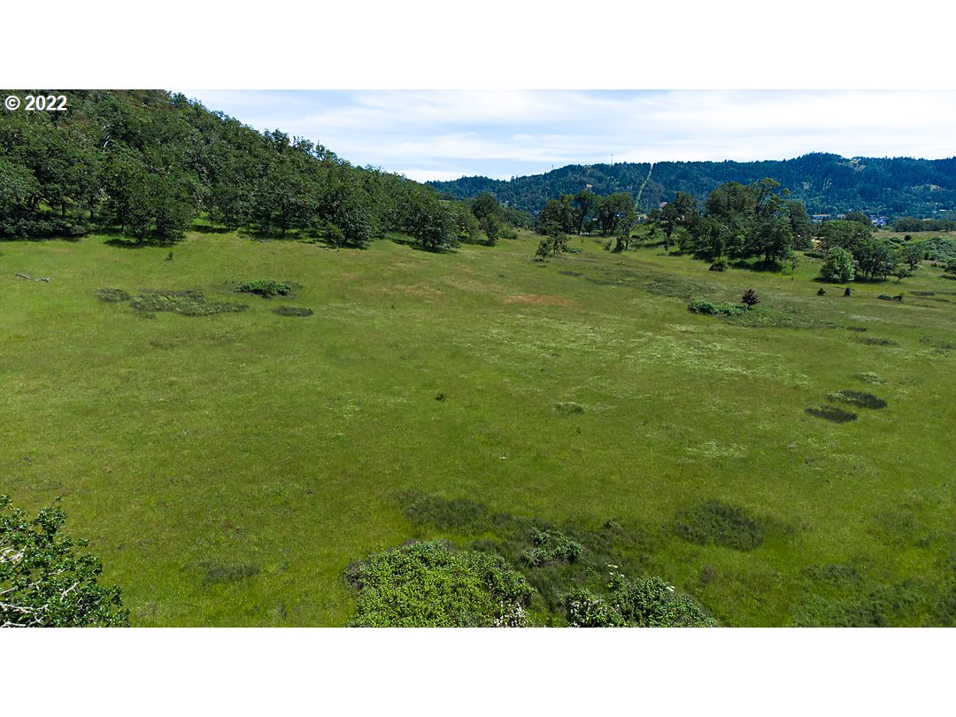0 Jones Road Roseburg, OR 97471 - Photo 13 of 18 Gallery Image 13