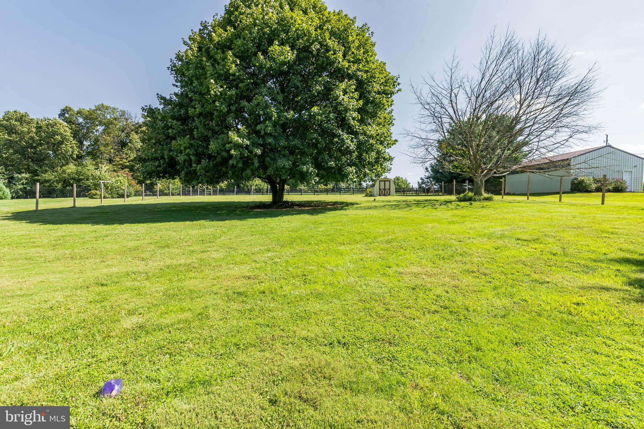 101 Scott Road Nottingham, PA 19362 - Photo 29 of 30 Rear Yard