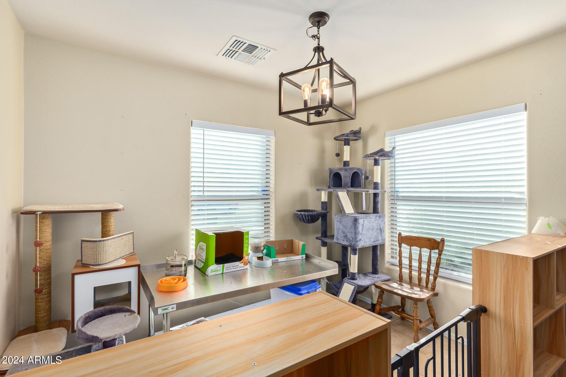 43274 West Cowpath Road Maricopa, AZ 85138 - Photo 13 of 26 Custom Light Fixtures