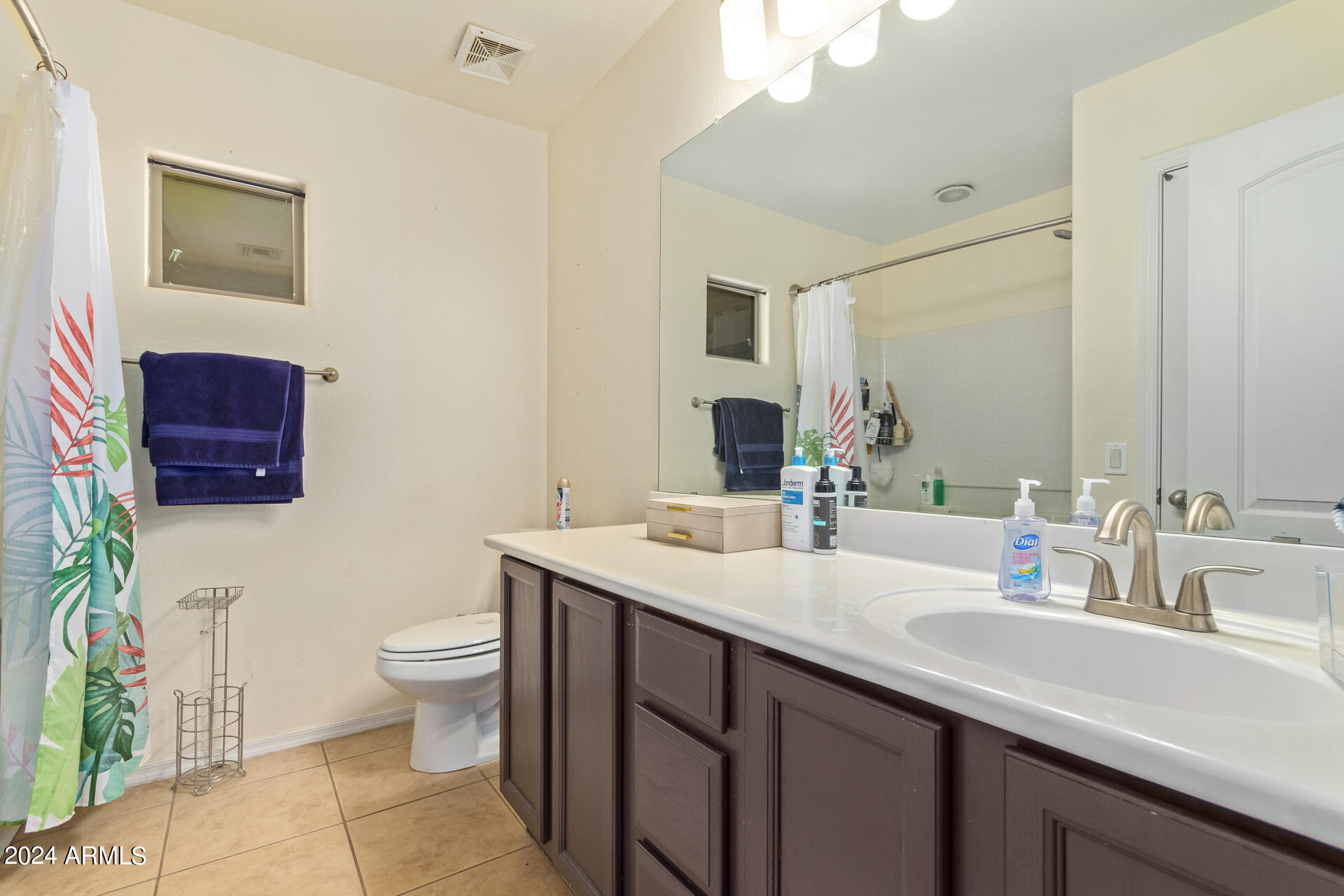 43274 West Cowpath Road Maricopa, AZ 85138 - Photo 19 of 26 Main Bathroom