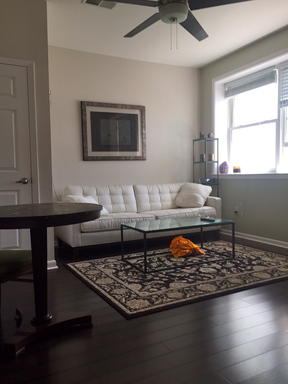 2 Percy Street, Unit C Charleston, SC 29403 - Photo 1 of 7 medium (2)