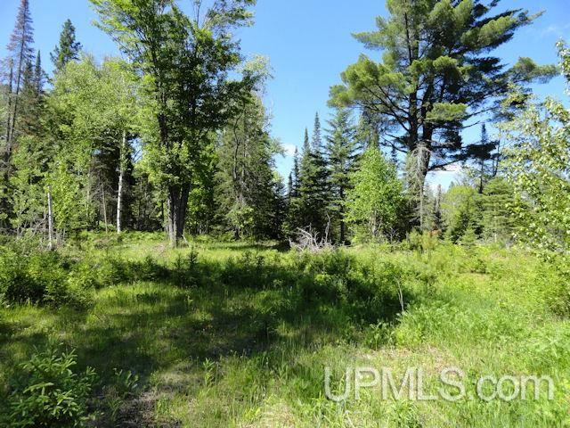 3038 North River Road Republic, MI 49879 - Photo 13 of 19 Gallery Image 13