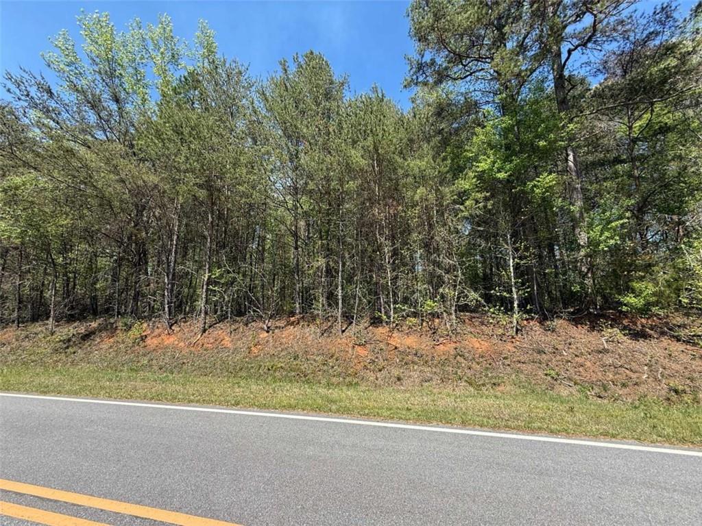 0 Panhandler Circle Maysville, GA 30558 - Photo 2 of 8 a view of a yard with a tree