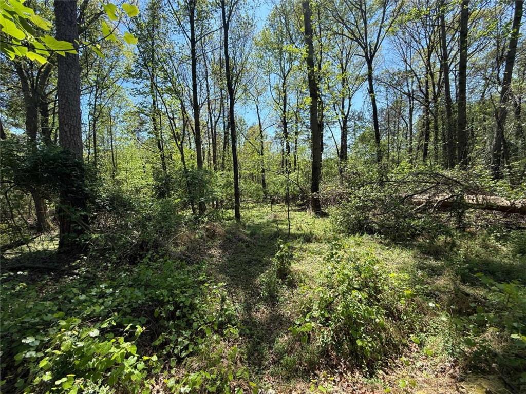 0 Panhandler Circle Maysville, GA 30558 - Photo 4 of 8 a view of outdoor space and green space