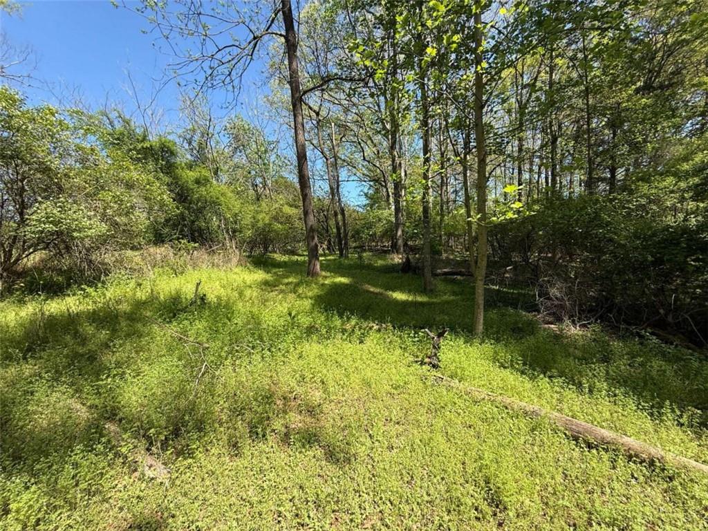 0 Panhandler Circle Maysville, GA 30558 - Photo 5 of 8 a backyard of a house with lots of green space
