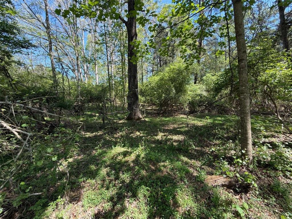 0 Panhandler Circle Maysville, GA 30558 - Photo 6 of 8 a view of outdoor space and tree